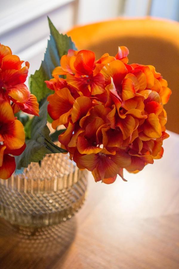 Barao Oporto Apartments エクステリア 写真